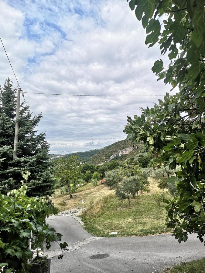 Črni Kal House Ceh 빌라 외부 사진